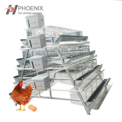 Ручная куриная клетка типа А. Курятник для оборудования для животноводства и птицеводства. Клетки для кур-несушек или бройлеров.