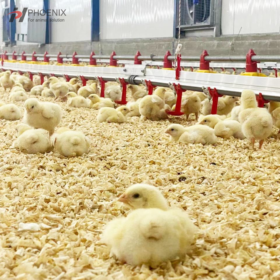 Автоматическая линия поения цыплят Полное оборудование для питья для системы водоснабжения птицефабрик 