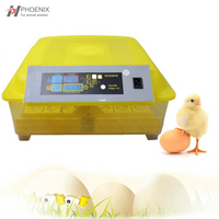 Мини-инкубатор для яиц, 24 яйца, интеллектуальный автоматический мини-инкубатор для яиц, контроль температуры, инкубатор для вылупления курицы, утки